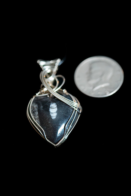 Fossil in basalt wrapped in .925 sterling silver wire