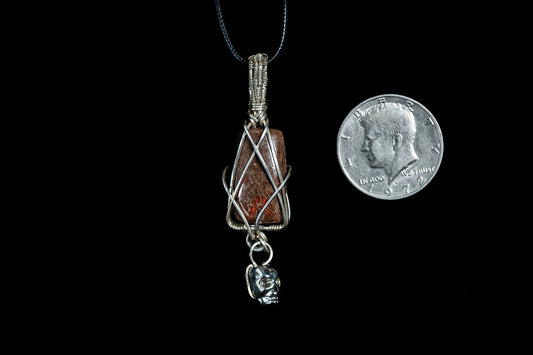 Dinosaur Gem Bone in .925 Sterling Silver with Stainless Steel Skull Accent